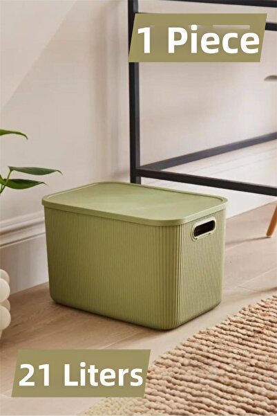 Bayev Colors Green 1 Piece 21 Lt Closet Organizer Organizer Toy Box Storage Box with Lid