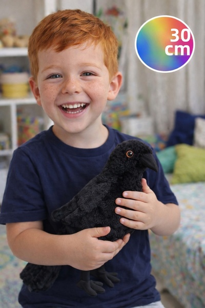 TOYFEST غراب قطيفة 30 سم