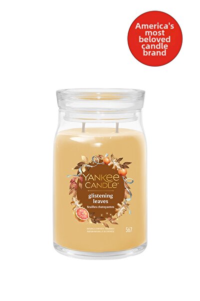 Yankee Candle Semnătură Frunze sclipitoare Büyük Mum
