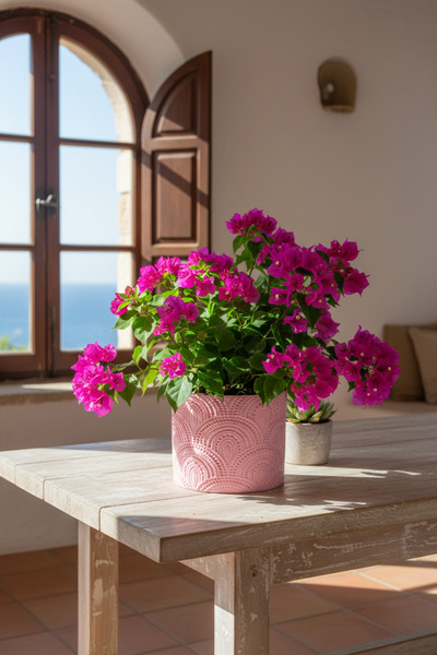 Filamentim Floranti Organik Dalga Motifli Dekoratif Saksı 22,5x22,5x19cm No.2...