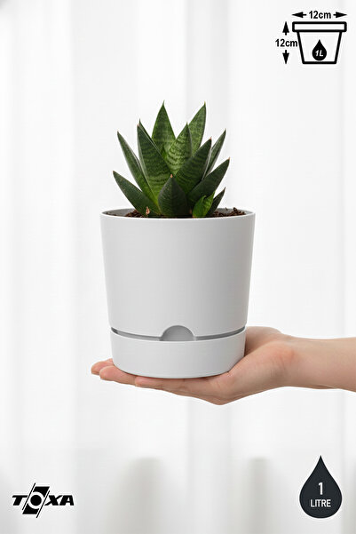 ToXA 0.95 Litre Beyaz Begonya Saksı Küçük Boy Tabaklı Dekoratif Mat Plastik S...