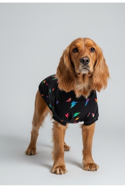 Luli Pet Flash Dog T-Shirt