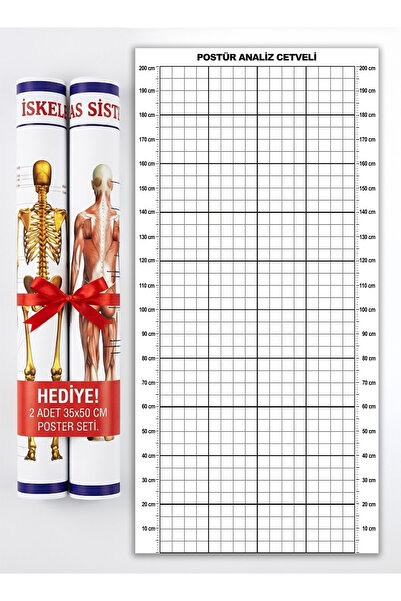 AND Postür Analiz Cetveli Tablosu - Posture Analysis Grid + İskelet & Kas Sistemi Poster Hediyeli