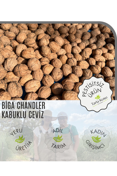 TARLA KUŞU CHANDLER BİGA CEVİZİ 5 kg