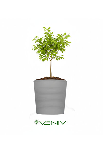 VENİV AGRİCULTURE Dekoratif Kırılmaz Esnek Saksı 9.8 L