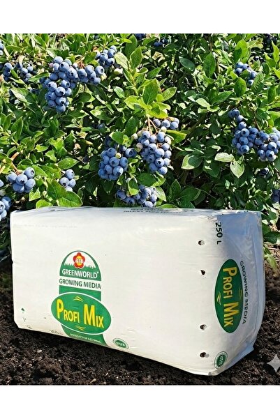 250 Lt Profimix Imported Blueberry Blueberry Peat - Ph 3.5 - 4.2 Acidic Soil 0-40 Mm