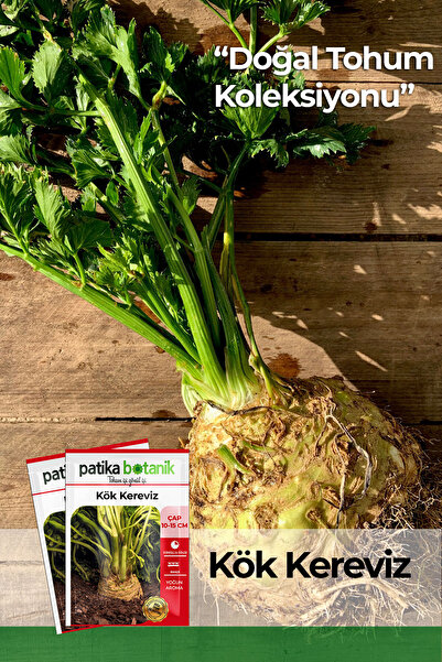 Patika Botanik 8.000 Adet Ata Tohumu Yerli Kök Kereviz