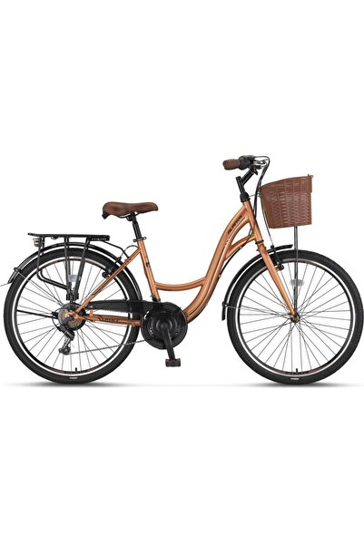 Genel Markalar Alanya 28 Inch 45 cm kadro 21 Vites Kadın Şehir Bisikleti 2810...