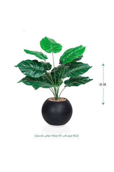 CENTRHOME شتلة ورق قلب بطول 55 سم بمركن مكور