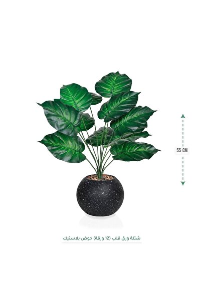 CENTRHOME شتلة ورق قلب بطول 55 سم بمركن مكور