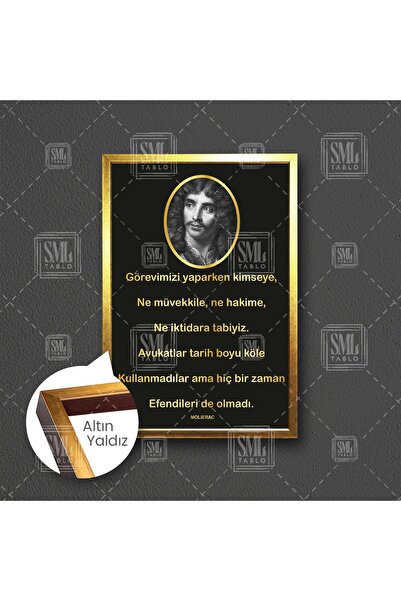 SML TABLO Avukat Hakim Savcı Hukuk Büro Ofis Adalet Sözleri Molierac Çerçevel...