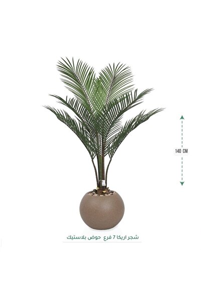 CENTRHOME شجرة أريكا بطول 140 سم بمركن مكور