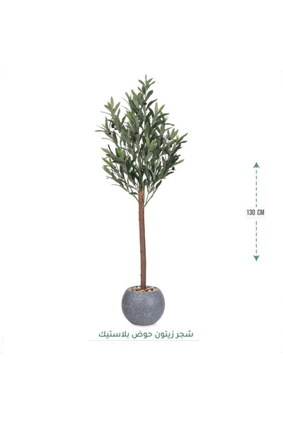 CENTRHOME Olive tree, 130 cm tall, round pot