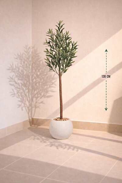 CENTRHOME شجرة زيتون طول 130 سم مركن مكور