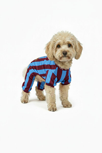 Yumuşak Tüylü Patiler Kedi-Köpek Taraftar Forma Bordo Mavi - Büyük Irk