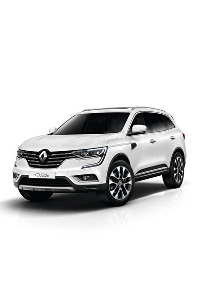 Flea Market Renault grubu 369 - Metalik Buz Beyazı - Profesyonel Rötüş Boyası...