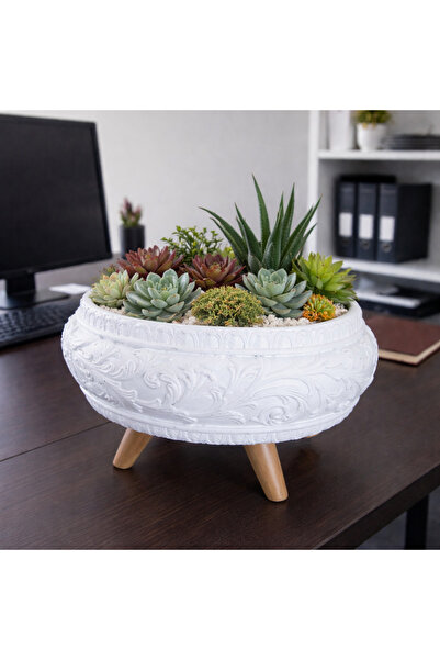 Gold Garden Beton Saksı Ayaklı Sukulent Bonzai Aranjman teraryum çiçek saksıs...