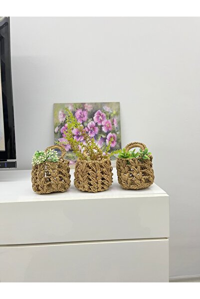 MODA Dekoratif Hasır Sepet, Std 3’lü Sepet, Kaktüslük, Saksılık, Çiçeklik Org...