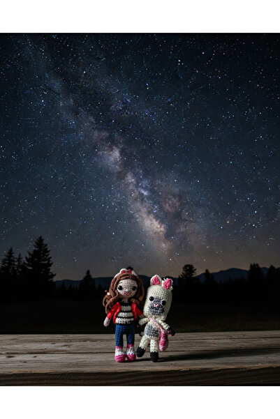 LUXIC CORE El Yapımı Amigurumi Kız ve Lama Oyuncak Seti – Örgü Bebek ve Hayva...