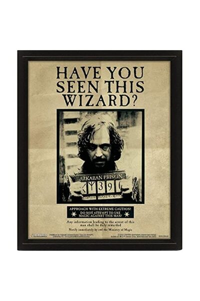 ALAYRA International ملصق ثلاثي الأبعاد عدسي من ALAYRA لشخصية هاري بوتر/سيريو...