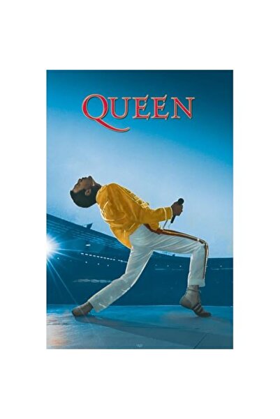 ALAYRA International ملصق ألايرا كوين ماكسي (تصميم حفلة ويمبلي المباشرة) 61 س...