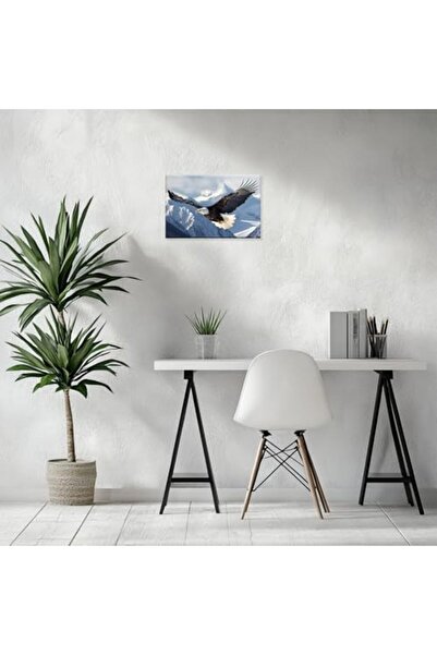 ALAYRA International ALAYRA Eagle Canvas Art, Flying Eagle Painting Print Ame...