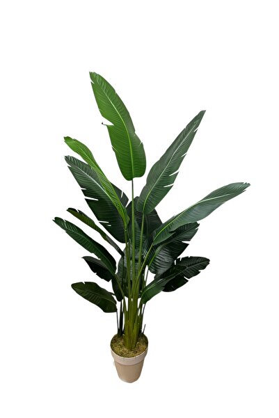 ŞA-DAL STORE Yapay Ağaç Starliçe Islak Dokulu 15 Büyük Yapraklı 185 cm