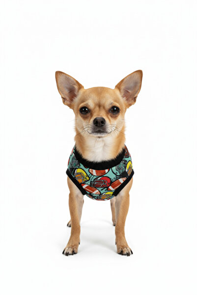 Kedi-Köpek Kıyafeti Beyzbol Desenli - Küçük Irk