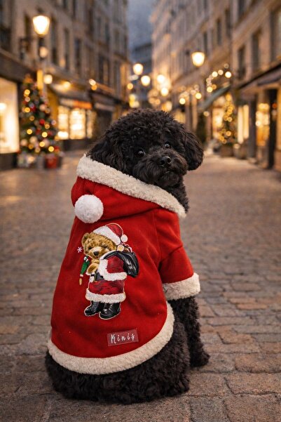 MİNİŞ PET BUTİK سترة عيد الميلاد من Miniş Xmas Santa Teddy للكلاب من الفئات الصغيرة والمتوسطة