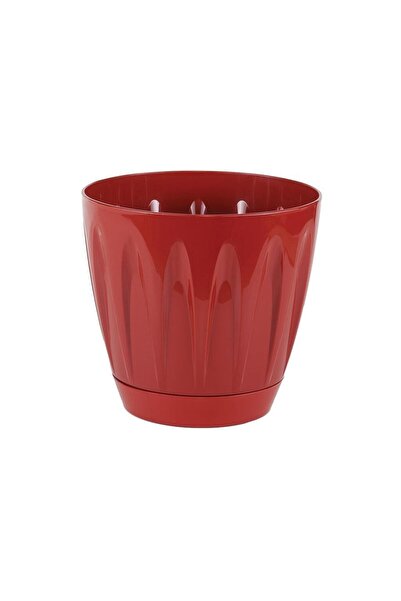 SERİNOVA Serinova Papatya Tabaklı Saksı 1,5 Lt