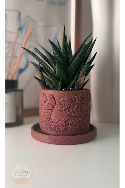 Thera Bottega Mossa Dekoratif Küçük Bitki/sukulent Saksısı - 7.5 Cm Yükseklik (BİTKİ DAHİL DEĞİLDİR.)