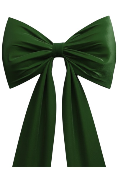 CRAZY RIBBON Funda de Brad din Catifea Premium Verde 70x40 cm – Decor Elegant...