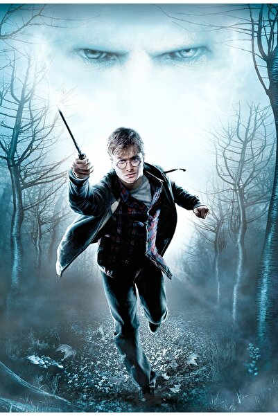 OEM Poster Harry Potter Talismanele Morții, 61x90cm, Zumzeria