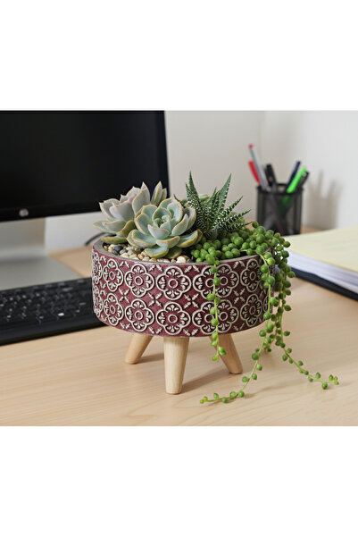 Gold Garden Beton Saksı Ayaklı Sukulent Bonzai Aranjman teraryum çiçek saksıs...