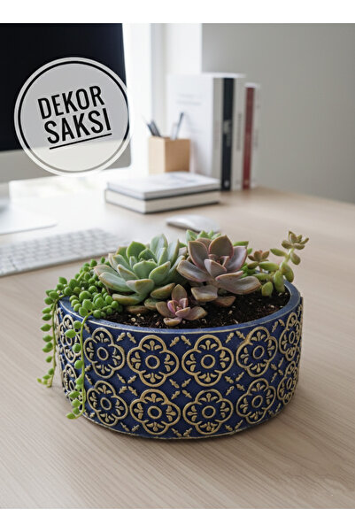 Gold Garden Beton saksı sukulent bonzai teraryum arajman çiçek Saksısı 18x7cm...