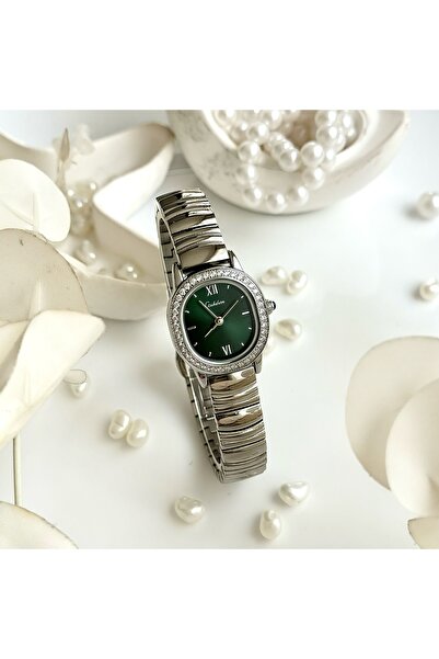 Ferrucci FERRUCCİ WOMEN'S WRISTWATCH (SILVER)