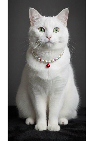 Vira Rise إكسسوار زينة لطوق القطط مصنوع من الخرز اللؤلؤي الأبيض مع حلقات حمراء