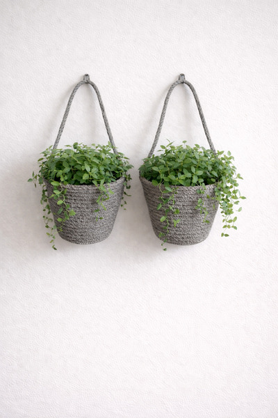 ÖRGÜM Coș decorativ 2 buc. Mini coș cu flori 12X10 cm PLANTELE ȘI APARATELE D...