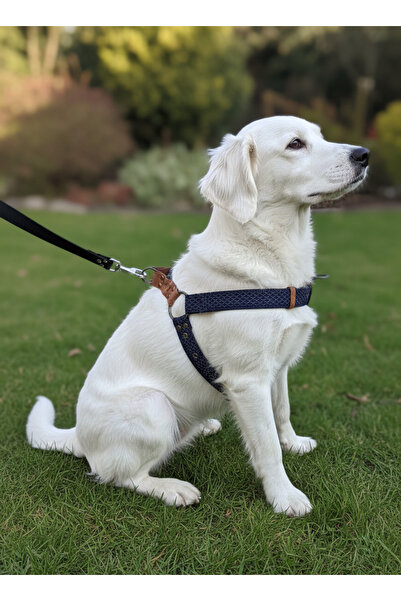 balkonda Dog Collar Small and Medium Breed Adjustable Column Cord and Nubuck ...