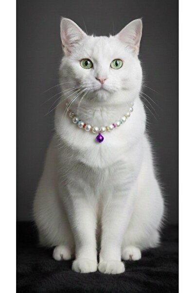 Vira Rise إكسسوار زينة لطوق القطط مصنوع من الخرز اللؤلؤي الأبيض مع جرس أرجواني