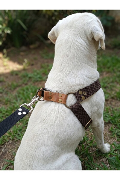 balkonda Dog Chest Harness Medium Breed Adjustable Column Cord and Nubuck Lea...