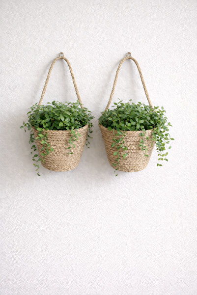 ÖRGÜM Coș decorativ 2 buc. Mini coș cu flori 12X10 cm PLANTELE ȘI APARATELE D...