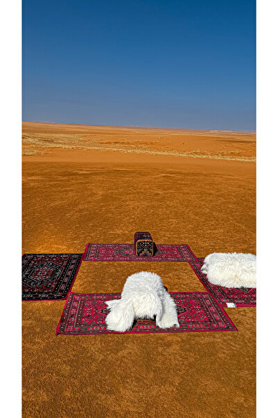 Segadty مجموعة من 3 سجادات من نوع القوس للتخييم والرحلات الصحراوية، سجاد عملي، باللون الأحمر، 80×150 سم.