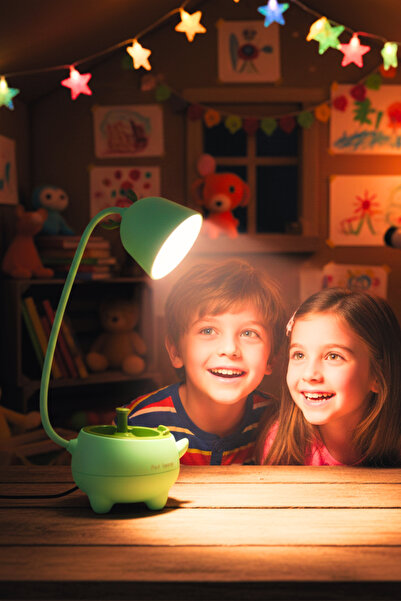 ORİJİNALDÜKKAN Özel Tasarım Pet Şarjlı Gece Masa Lambası Dokunmatik 3 Farklı ...