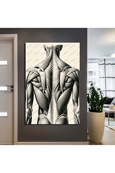 caddeko Fizik Tedavi ve Rehabilitasyon Temalı Dekoratif Kanvas Tablo ftv45