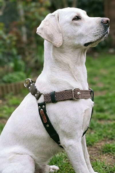 balkonda طوق للكلاب من فصيلة متوسطة وكبيرة الحجم مع حزام قابل للتعديل وجلد نو...