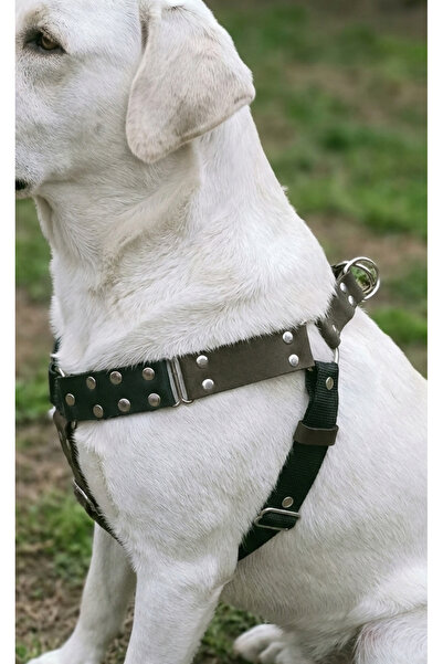 balkonda Dog Collar Medium and Large Breed Adjustable Column Cord and Nubuck ...