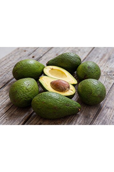 Kalendos Avokado 15'li - 200-250 Gr / Yerli Üretim Taze Hasat