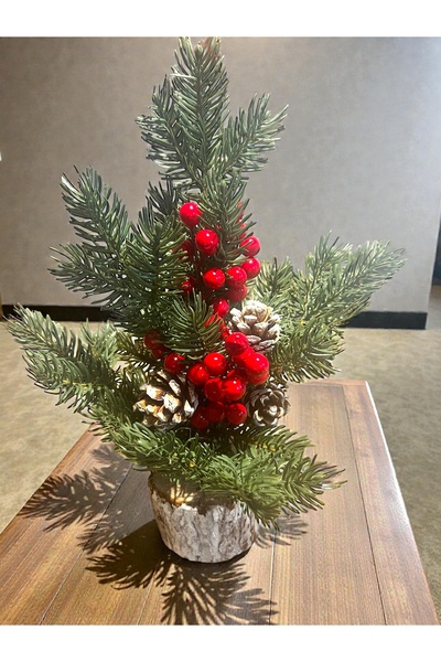 Yenigeldi 40 cm Beyaz Ahşap Kütük Tabanlı Mini yılbaşı Dekoru – , Kozalak ve ...