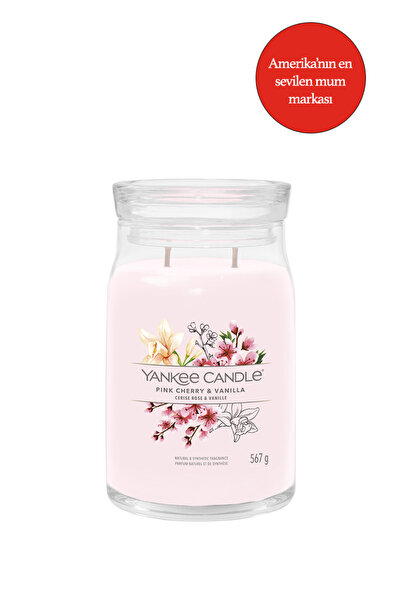Yankee Candle Pink Cherry & Vanilla
